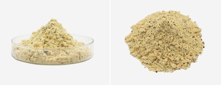 Freeze Dried Passion Fruit Powder 2 Freeze Dried Passion Fruit Powder 2