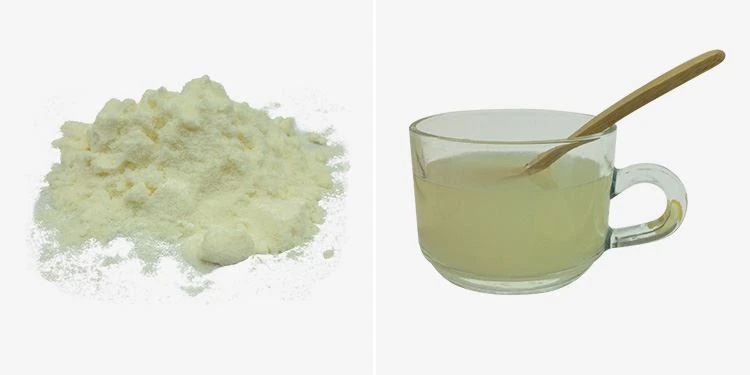 Lemon Juice Powder Bulk 2