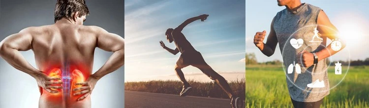 Cordyceps Militaris Extract