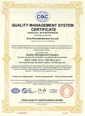 ISO9001 Certificate