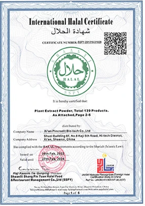 Halal Certificate