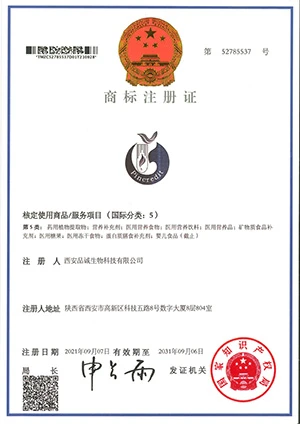 Pincredit Logo Registration Certificate