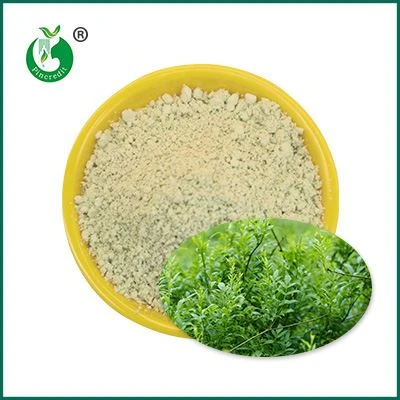 Dihydromyricetin pulver