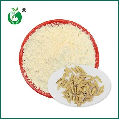 Gamma Oryzanol Pulver