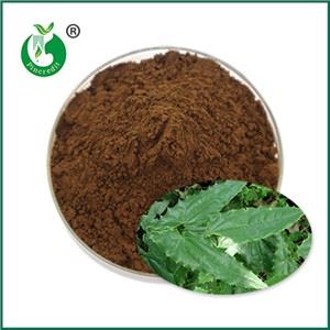 Icariin pulver