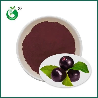 Acai bärjuice pulver