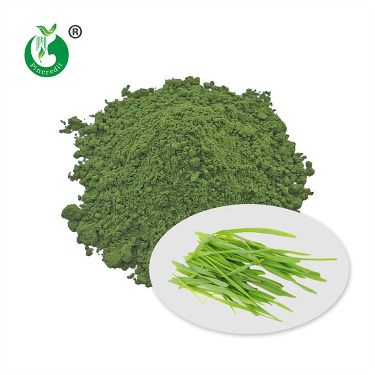 Barley Grass Powder