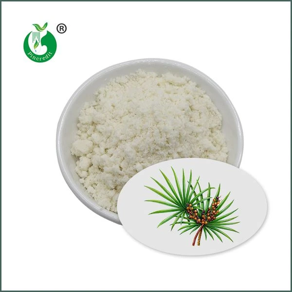 Såg Palmetto Extract Powder