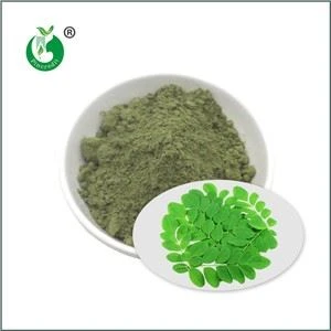 Organiskt Moringa-pulver