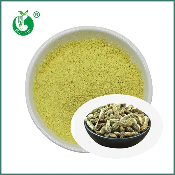 Partihandel Kaempferol pulver