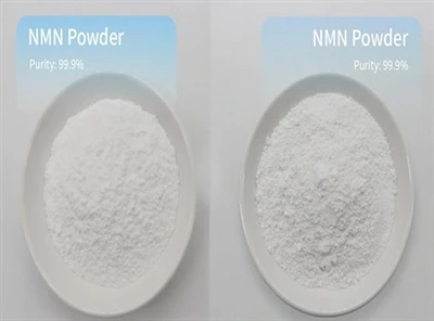 Har NMN Powder förbjudits?