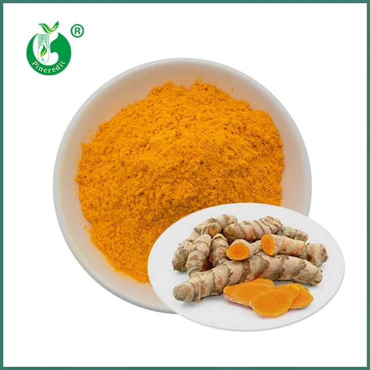 Curcumin extrakt pulver