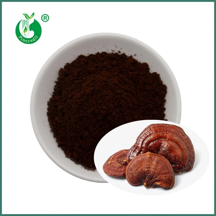 Reishi Spore Pulver