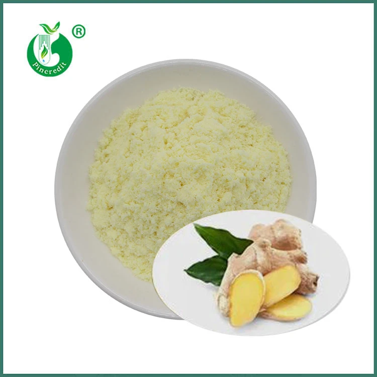 Gingerol pulver