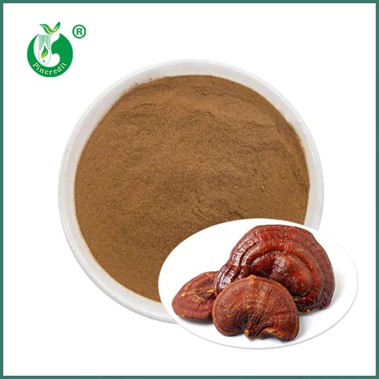 Reishi-extraktpulver
