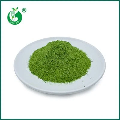 Matcha grönt te pulver